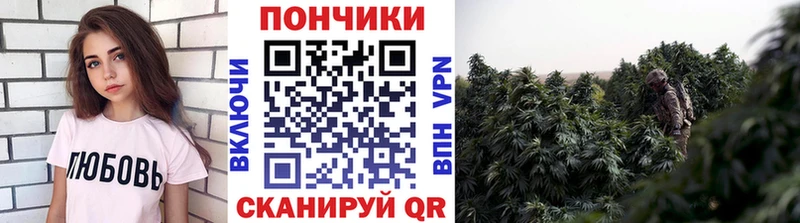 Бошки Шишки план  где купить наркоту  Пучеж 
